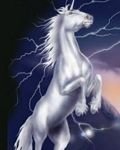 pic for The last Unicorn